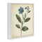 Stupell Industries Vintage Blue Blossoms Wildflower Framed Giclee, design by Petal Prints Design